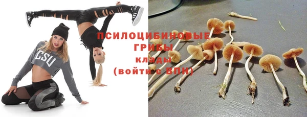 MDMA Premium VHQ Зеленокумск