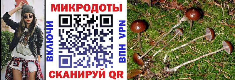 Галлюциногенные грибы мухоморы  Купить где  Вилюйск 